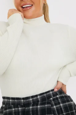 Brushed Rib High Neck Long Sleeve Top|In the Style Online