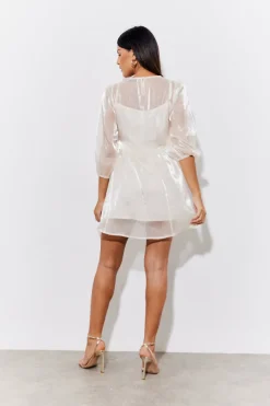 Organza Babydoll Mini Dress|In the Style New