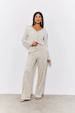 Sequin Wide Leg Trouser|In the Style Best