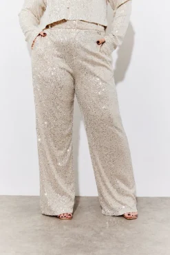 Sequin Wide Leg Trouser|In the Style Best