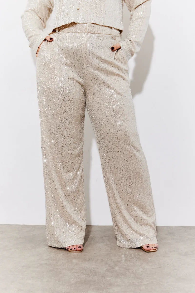 Sequin Wide Leg Trouser|In the Style Best
