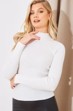 High Neck Variegated Rib Knit Top|In The Style Online