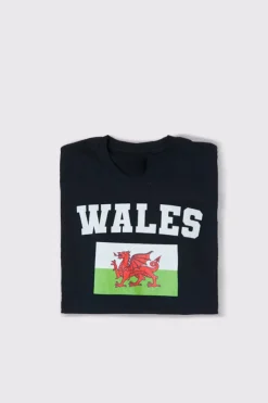 Kids Welsh Flag T-Shirt|In The Style Best
