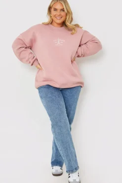 Paris Embroidered Sweater|In the Style Online