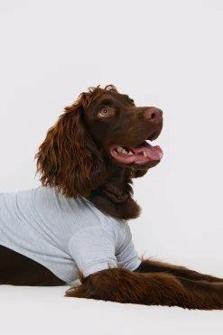Plain Jersey Dog PJ|In The Style Sale