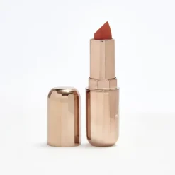Soft Matte Lipstick Cinnamon Bun|In The Style New