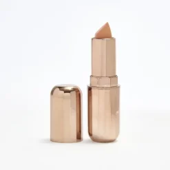 Soft Matte Lipstick Perfect Nude|In The Style Clearance