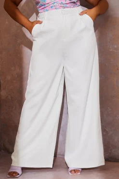 Tailored Wide Leg Trousers|In the Style Hot